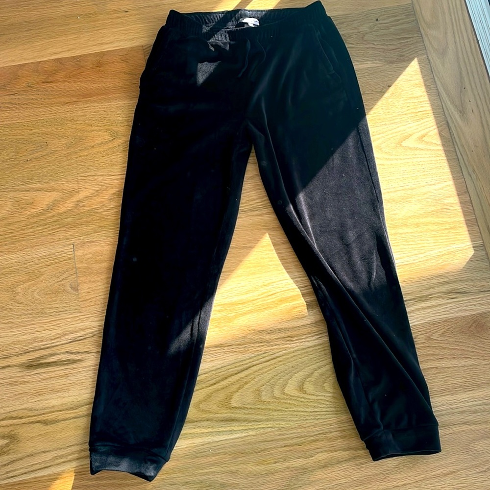 The brand is splendid these are crushed velvet sweatpants size 14